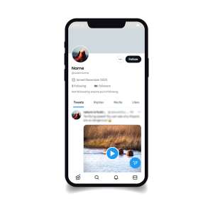11.000 PRATILACA <br> [TWITTER NALOG]