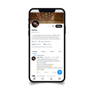 13.000 PRATILACA <br> [TWITTER NALOG]
